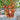 W1311 Chengduoduo F1 Orange Grape Tomato, 5 Seeds