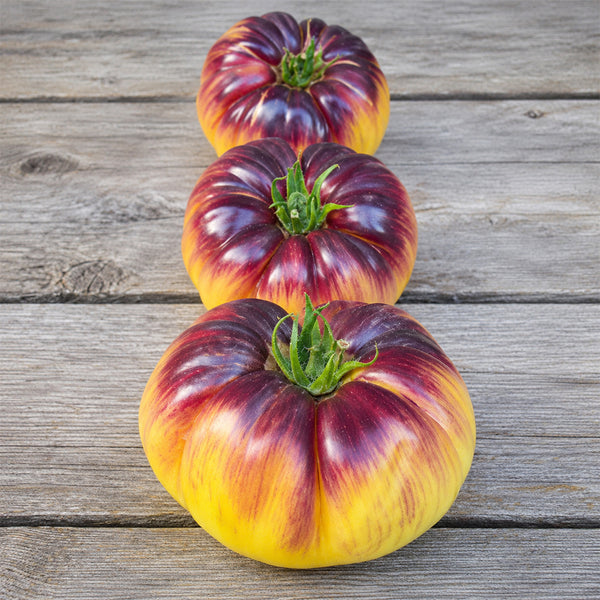 87 Sart Roloise Tomato, 5 Seeds