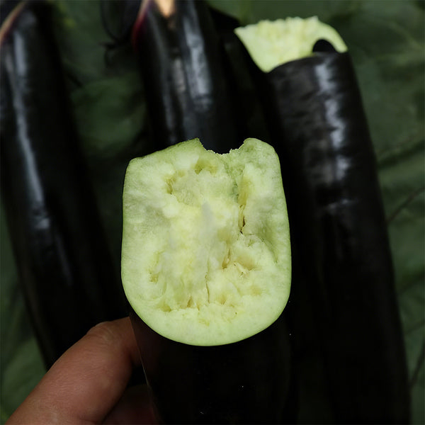 'Heiguiren' Long Eggplant Seeds, 50 Seeds