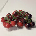'Fairy Tale Sparkle' Tomato Seeds, 5 Seeds