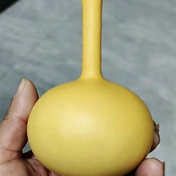 Small Long-handled Gourd, 10 Seeds