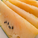 Color Fairy 14 Gift Watermelon, 200 Seeds