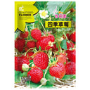 'Medelet' Red Strawberry Seeds