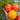 638 Beauty Princess Tomato, 5 Seeds