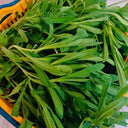 Noodle Vegetable Seeds, 10g
