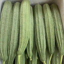 Jiemei Speckled Ridge Gourd, 20 Seeds