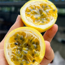Mixed Purple & Yellow Passion Fruit, 200 Seeds