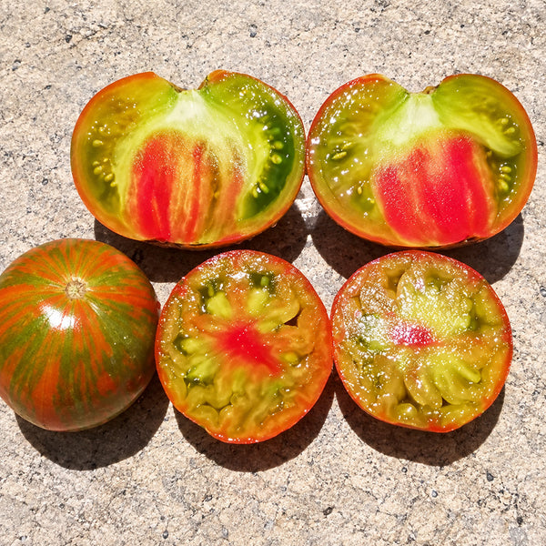 435 Kozula 224 Tomato, 5 Seeds