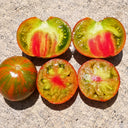 435 Kozula 224 Tomato, 5 Seeds