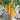 Golden Fragrant Horn Pepper Seeds, 100 Seeds