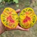 40 Green Ember Tomato, 5 Seeds