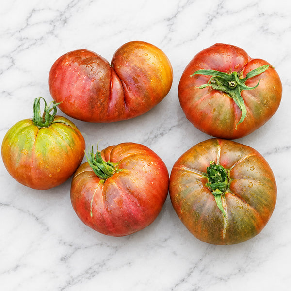 54 Jarson 18/4 Tomato, 5 Seeds