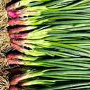 Shouhe Red Skin Scallion, 5g