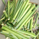 High-Sugar Sweet Sorghum Seeds, 100 Seeds