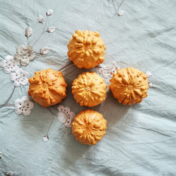 Small Bumpy Gourd, 10 Seeds