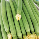 Thailand Medium Green Luffa, 100 Seeds