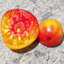 253 Dwarf Waratah Bi-Color Tomato, 5 Seeds