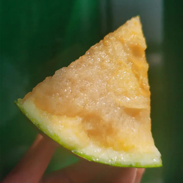 Rainbow Gift Watermelon Hybrid F1 Seeds, 20 Seeds