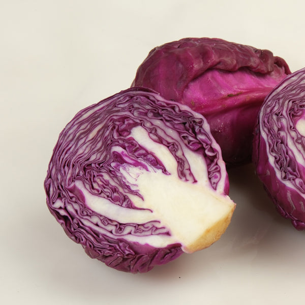 'Purple Crystal' Cabbage, 500 Seeds