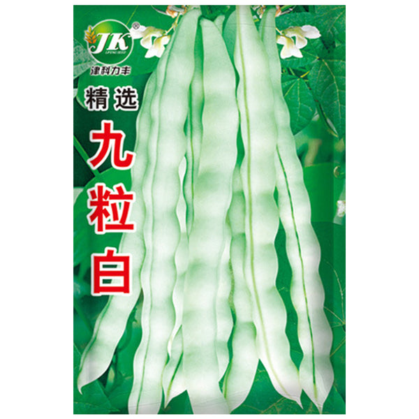 Continuously Harvestable Nine-grain White Kidney Bean Seeds, 5 × 10g Bags