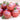 991 Rosella Tomato, 5 Seeds