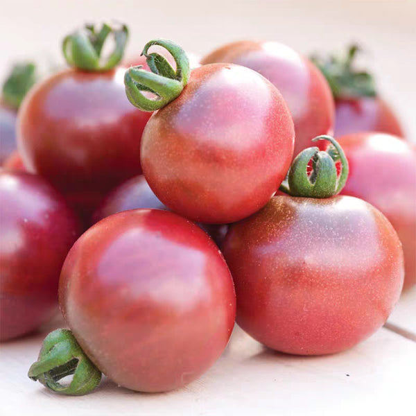 991 Rosella Tomato, 5 Seeds