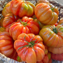 Horseshoe Large Tomato Seeds