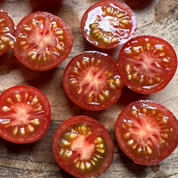 Clackamas Blueberry Indigo Tomato, 15 Seeds