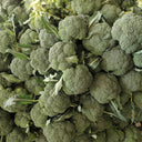Broccoli Seeds, 50 Grams ≈ 13000~16500 Seeds