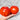 1160 Sveta from Italy Red Tomato, 5 Seeds