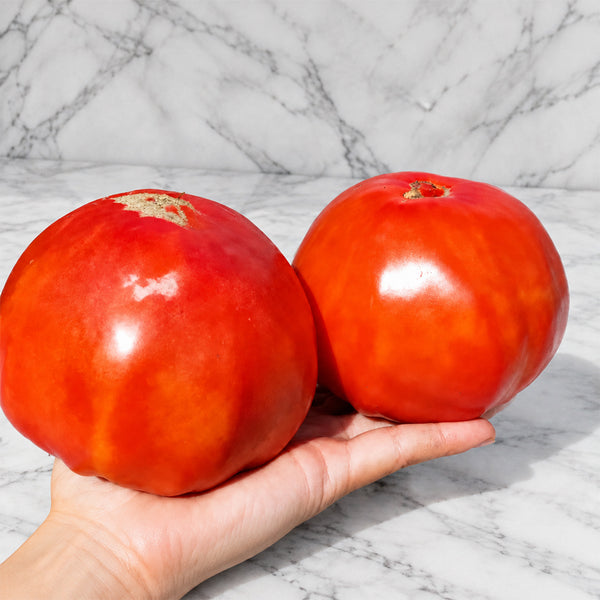 1160 Sveta from Italy Red Tomato, 5 Seeds