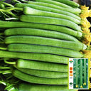 Spring-Autumn 915 Luffa Seeds, 10g