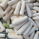 Jingkenuo 2000E Corn Seeds, 20g