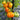 49 Orange Jazz Tomato, 5 Seeds