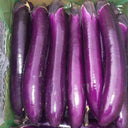 W963 Red Gold Purple-Red Long Eggplant, 5g