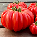 Mushroom Basket Tomato, 20~30 Seeds