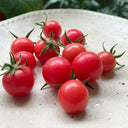 Pink Beibei Cherry Tomato, 30 Seeds