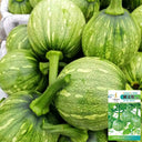 ‘Yichuanling’ Pumpkin Seeds, 20 Seeds