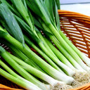 Leek Seeds, 2000 Seeds