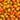 987 Shy Blush Tomato, 5 Seeds