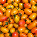 987 Shy Blush Tomato, 5 Seeds