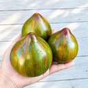 1123 Emerald Meteor Shower Tomato, 5 Seeds