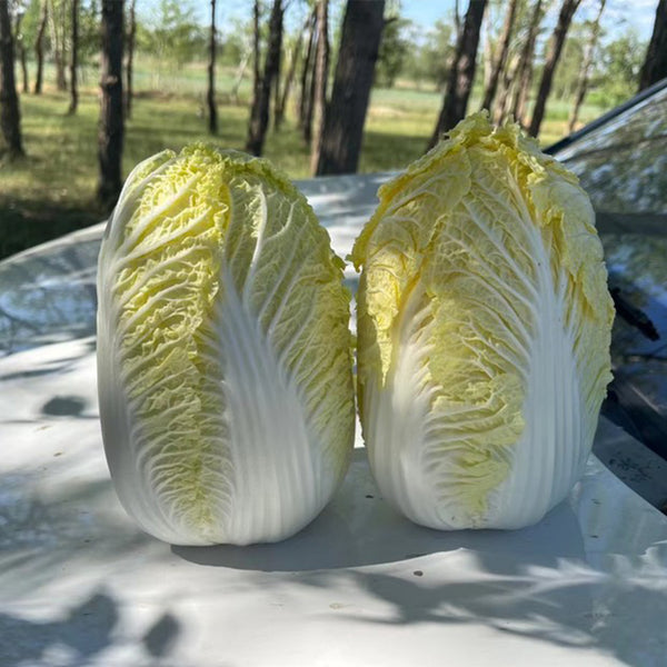 Huanai Baby Pak Choy Seeds, 10g
