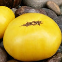 797 Golden Buddha Tomato, 5 Seeds
