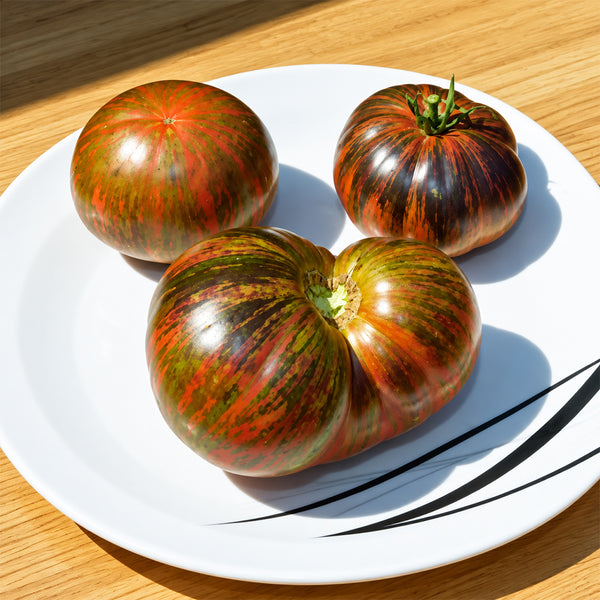 114 Marsha's Starfighter Beefsteak Tomato, 5 Seeds