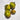 507 Eden No. 8 F4 Tomato, 5 Seeds