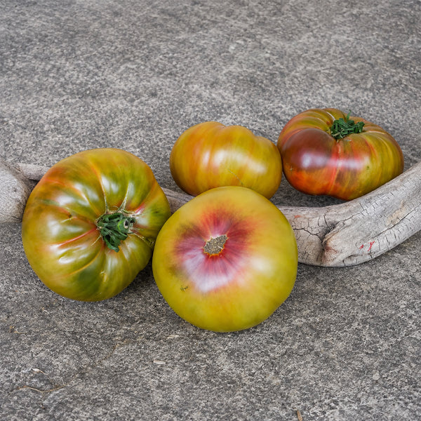 642 Thyme Purple Tomato, 5 Seeds