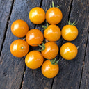 245 Sirja's Love Tomato, 5 Seeds