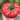 Giant Steak Tomato, 10 Seeds