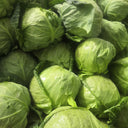 Xingyou Jingfeng No.1 Cabbage, 1000 Seeds